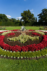 Image showing flower design in garden