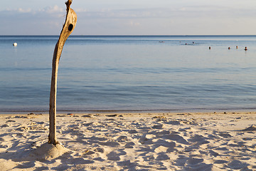 Image showing     beach    rocks  cane and south sea 