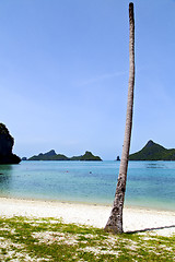 Image showing asia kho phangan  isle white  beach  tree  rocks  