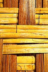 Image showing  bamboo in the  kho phangan bay asia and  