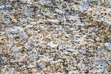 Image showing footstep kho samui    rock stone abstract texture s 