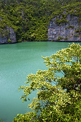 Image showing south china sea abstract of a green lagoon and water  