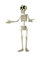 Image showing Skeleton