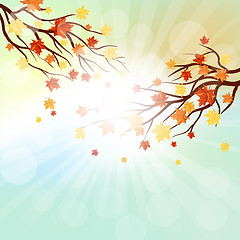 Image showing Autumn  Frame