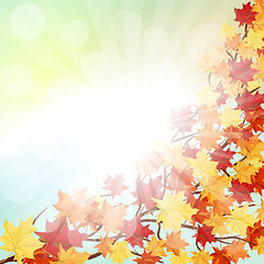 Image showing Autumn  Frame