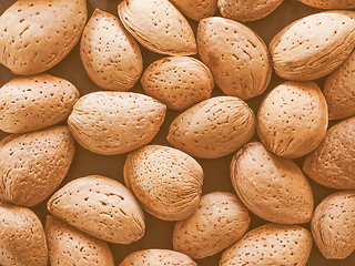 Image showing Retro looking Almond fruit