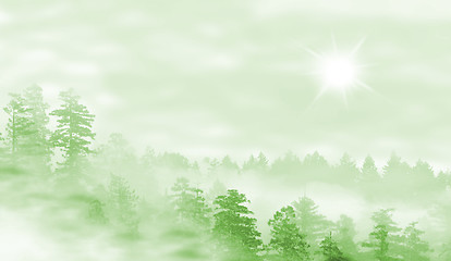 Image showing Landscape of misty forest at sunrise