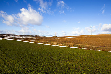 Image showing agricultural field  