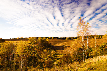 Image showing   trees   in  autumn  