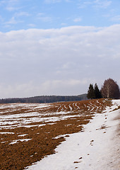 Image showing agricultural field  Winter.