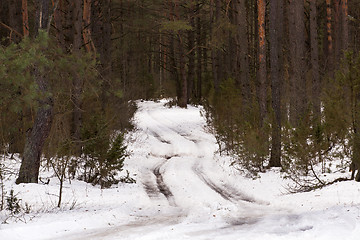 Image showing the winter road - not asphalted highway passing through the wood. winter