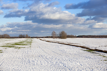 Image showing field in the winter  