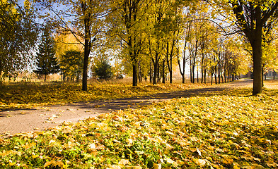 Image showing road in the fall  