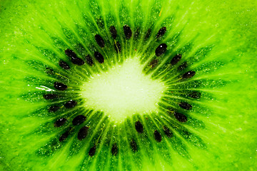 Image showing   Kiwi fruit