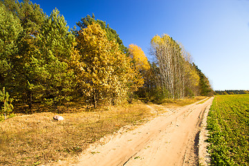 Image showing   rural road