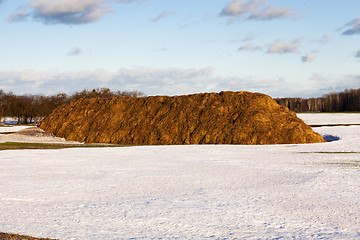 Image showing haystack  