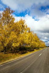 Image showing  road autumn