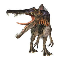 Image showing Dinosaur Spinosaurus