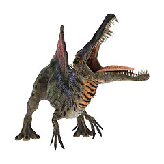 Image showing Dinosaur Spinosaurus