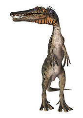 Image showing Dinosaur Spinosaurus