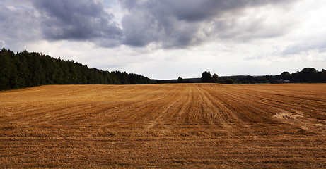 Image showing agriculture  