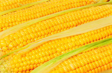 Image showing Stacked near peeled corn cobs