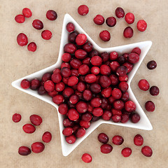 Image showing Cranberry Fruit 