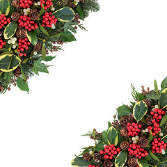 Image showing Winter Holly Border