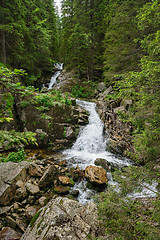 Image showing waterfall in deep forest at mountains