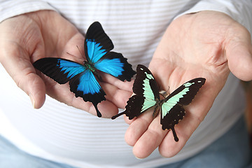 Image showing man with beautiful butterflies