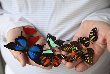 Image showing Many butterflies on a man's hands