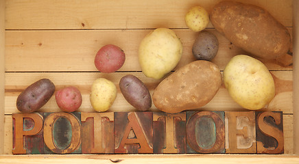 Image showing Potato varieties