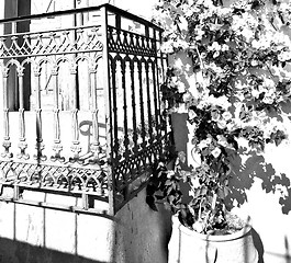 Image showing blue door in antique village santorini flower