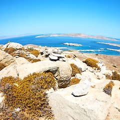 Image showing temple  in delos greece the historycal acropolis and old ruin si