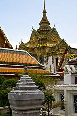 Image showing asia  thailand  in  bangkok  rain   tree