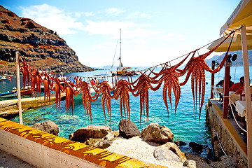 Image showing octopus   drying  in   greece santorini and light