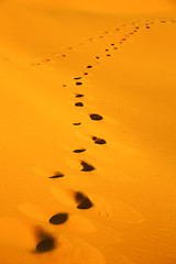 Image showing the brown sand  sahara morocco desert 