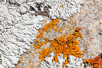 Image showing Close up old rock or stone texture