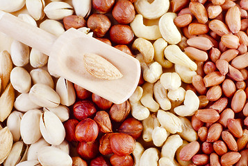 Image showing nuts