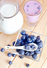 Image showing blue berry