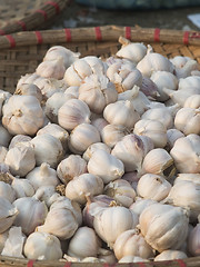 Image showing Garlic in a basket