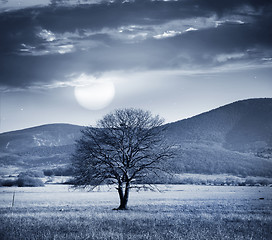 Image showing One tree and full moon