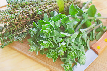 Image showing oregano with thyme