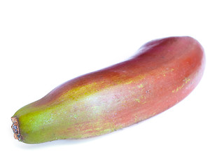 Image showing Red banana (Ensete ventricosum)