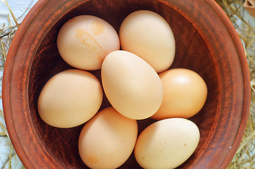 Image showing raw eggs