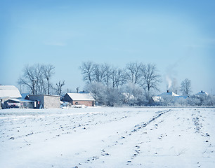 Image showing winter