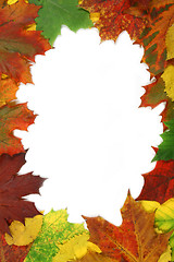 Image showing Autumn leaves frame