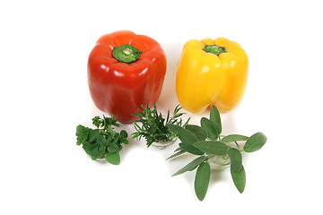Image showing Peppers and seasonings