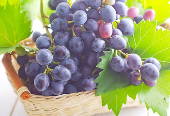 Image showing grape