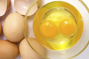 Image showing raw eggs